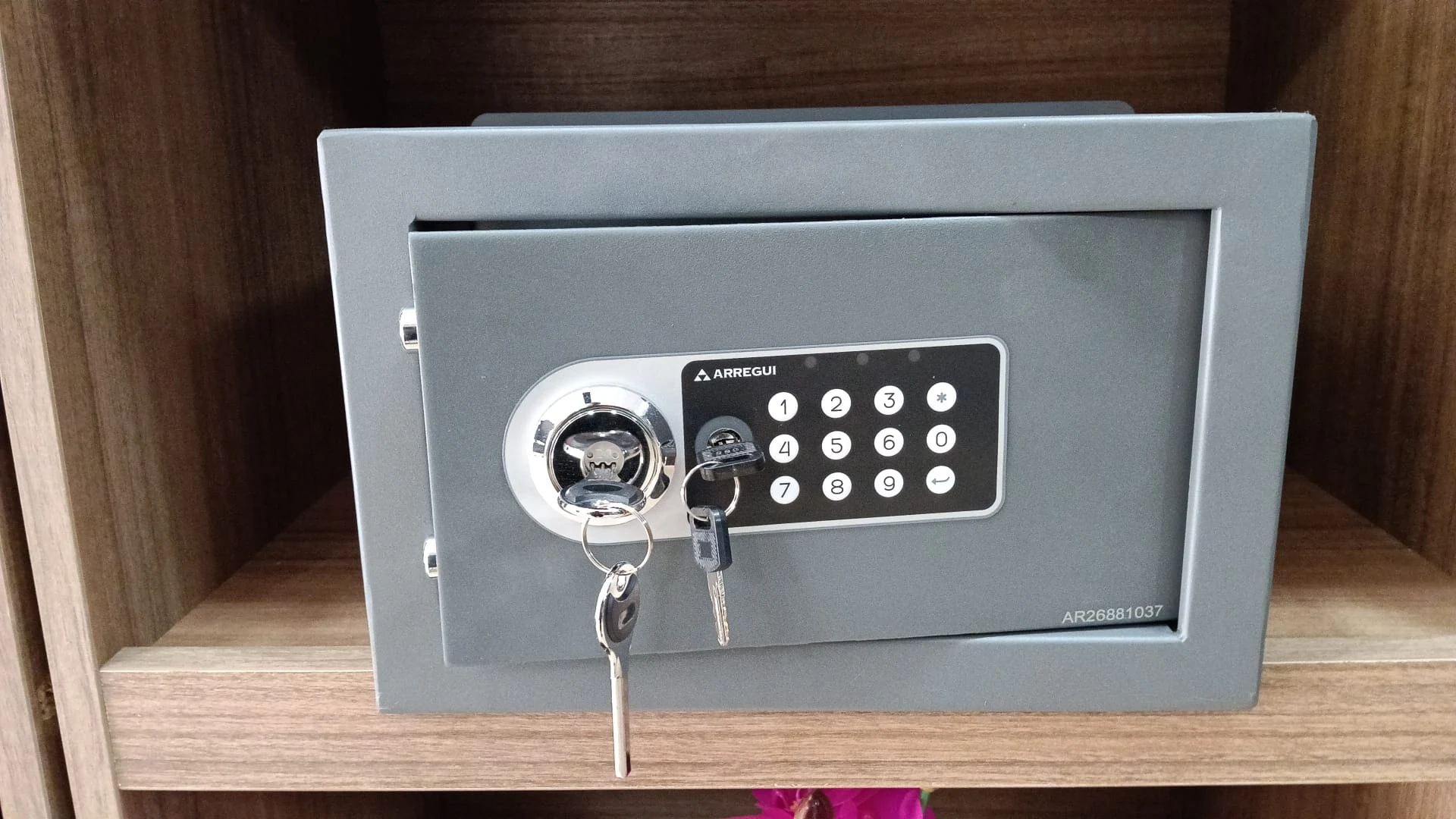Caja fuerte empotrable
